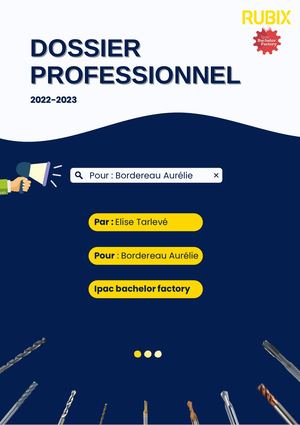 Dossier Professionnel V
