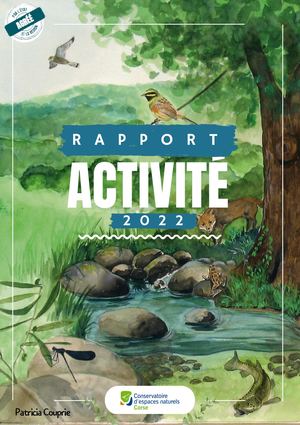 Rapport D'activité 2022