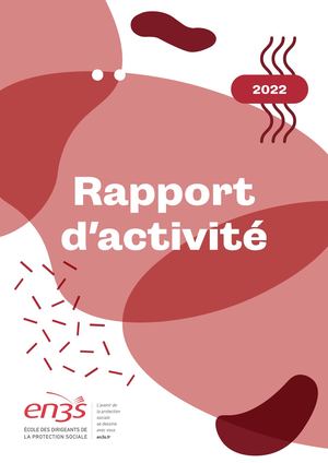 Rapport d'activité EN3S 2022