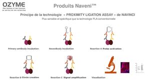Nav Proximity Ligation Assay Pla Naveniflex Navenibright Navenitriflex Navenipd1 Pdl1