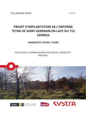 Tgo T13 Tetra Diag éCologique 2020 Vf