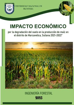 IMPACTO ECONÓMICO POR LA DEGRADACIÓN DEL SUELO EN LA PRODUCCIÓN DE MAÍZ EN EL DISTRITO DE MARCAVELICA, SULLANA 2021-2022