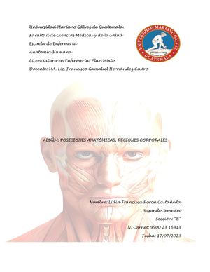 Posiciones Anatomicas