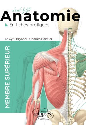 ANATOMIE EN FICHES : MEMBRE SUPÉRIEUR