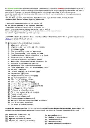 Adjetivos Y Pronombres