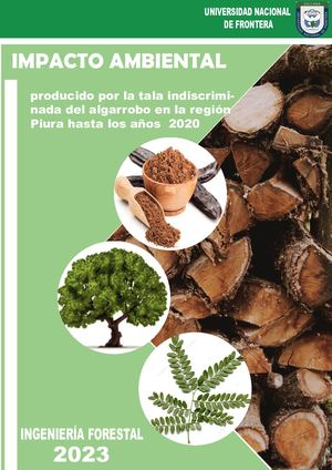 IMPACTO AMBIENTAL PRODUCIDO POR LA TALA INDISCRIMINADA DEL ALGARROBO EN LA REGION PIURA  HASTA LOS AÑOS 2020