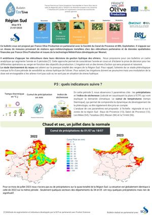 Bulletin 8 Olive Paca