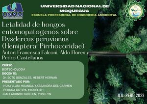 Letalidad de hongos entomopatogenos sobre Dysdercus peruvianus (Hemiptera: Pirrhocoridae)