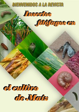 Insectos fitófagos en el cultivo de maíz