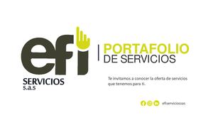 Portafolio Efiservicios S A S