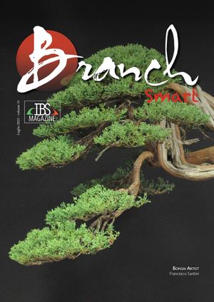 Branch Luglio 2023 vers. Smart