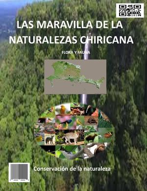 Revista Digital De Cartografia Dgtl
