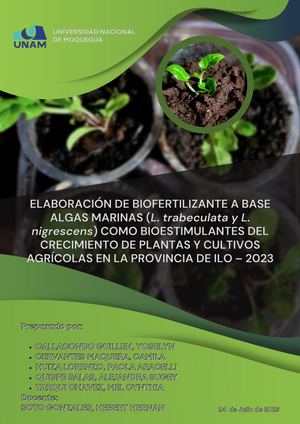 Proyecto De Investigacion  - Biotecnologia