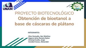 Bioetanol a base de cascaras de plátano palillo