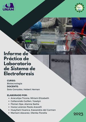 Informe De Práctica De Laboratorio De Sistema De Electroforesis