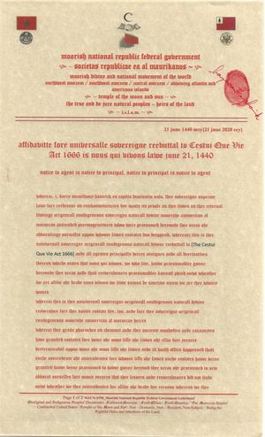 article III consul court Affidavitte Fore Unniversall Sovereigne Reebuttal To Cestui Que Vie Act 1666 Is Nous Qui Vivons Lawe June 21, 1440mcy from justice barry mcanthony hamrick en capitis diminutio nolo nunc pro tunc.