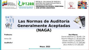 Normas De Auditoria Generalmente Aceptadas Nagas