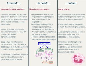 La Célula Animal Triptico