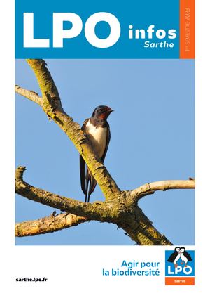 Lpo Info 1 2023