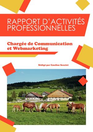 Rapport Activités Professionnelles 2023 Emeline Souciet