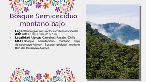 Flora Catalogo Parte 2