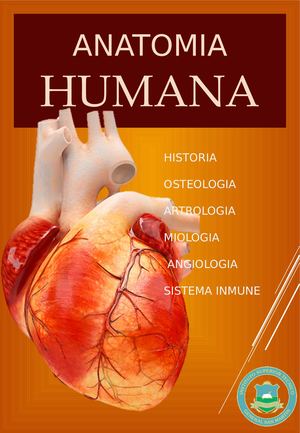 Anatomia Humana Maira Ramos