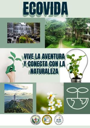 Newsletter Boletín Informativo Naturaleza Ecología Y Sostenibilidad Minimalista Blanco Y Verde