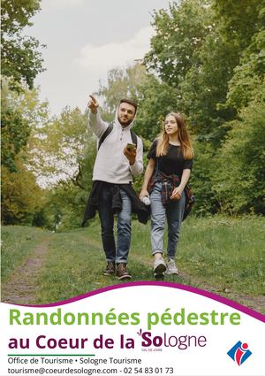 LAMOTTE BEUVRON_circuits pédestres : forêt et canal de la Sauldre