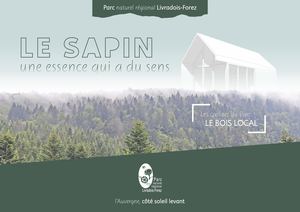 Le sapin, une essence qui a du sens