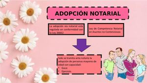 Adopcion Notarial