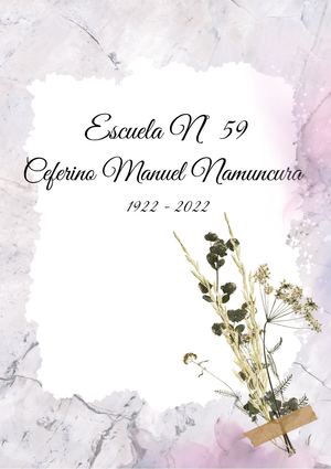 Reseña Historica Escuela 59