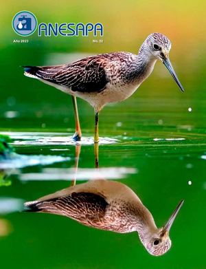 Anesapa 52 Web