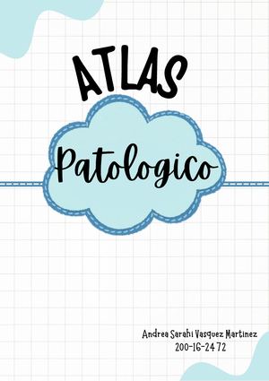 Atlas Pato Ii Modulo 2