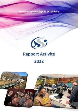 Dsi 2022 Rapport Activite Final