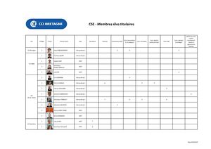 Membres éLus Du Cse Instances