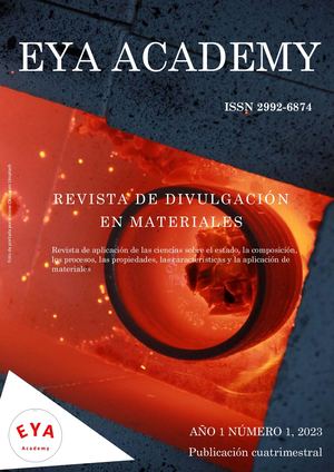 Año 1 Número 1 2023