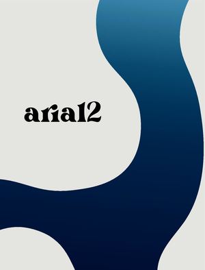 Arial 12 Book