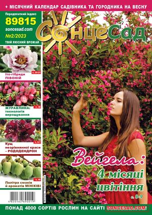 Журнал №2 2023 (2) (1)