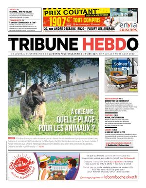 ARTICLE VIE LOCALE LATRIBUNEHEBDO ORLEANS N°384