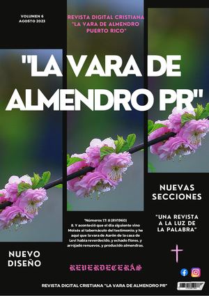 RDCLVDA'PR VOL.6 8/23