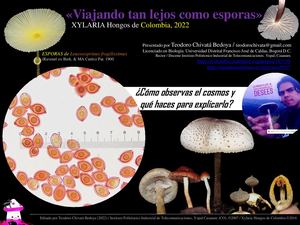 <Fotografiando Hongos (Macromicetos) de Colombia