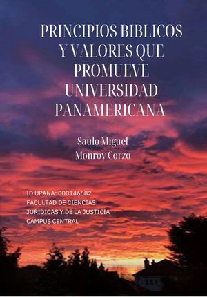 Trabajo Saulo Monroy  principios y valores UPANA