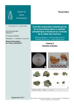 C309_11PoleGare_RapportVII_BD.pdf