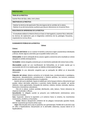 Práctica Ojos, Oídos, Nariz Y Garganta