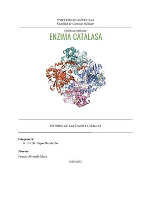Informe De Lab Enzima Catalasa