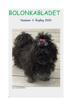 Bolonkabladet Nr 2 2023