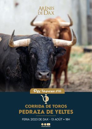 Présentation de la corrida de Pedraza de Yeltes