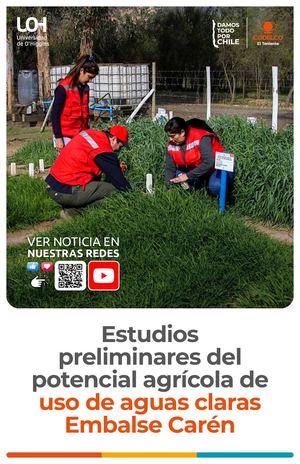 Diptico Estero Carén