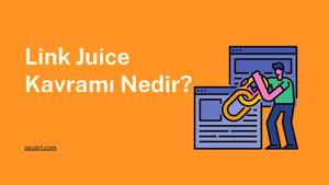 Link Juice (Equity) Kavramı Nedir?