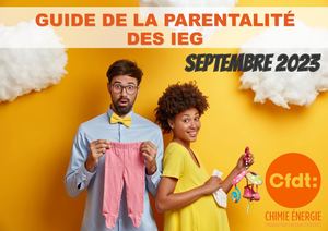 Guide De La Parentalité IEG